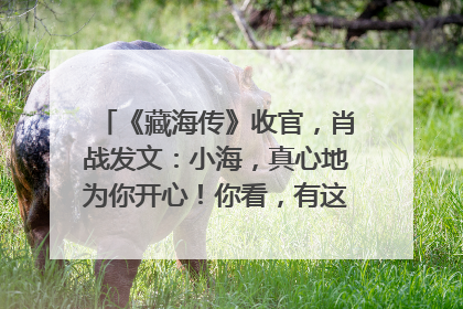《藏海传》收官，肖战发文：小海，真心地为你开心！你看，有这么多人懂你！