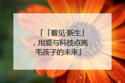 「看见·新生」，用爱与科技点亮毛孩子的未来