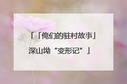 「俺们的驻村故事」深山坳“变形记”