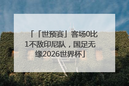 「世预赛」客场0比1不敌印尼队，国足无缘2026世界杯