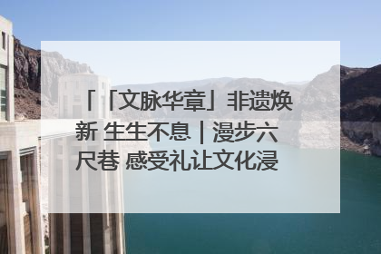 「文脉华章」非遗焕新 生生不息｜漫步六尺巷 感受礼让文化浸润的“巷”往生活