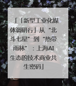 「新型工业化媒体调研行」从“北斗七星”到“热带雨林”：上海AI生态的技术商业共生密码