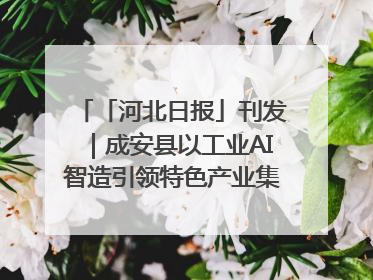 「河北日报」刊发｜成安县以工业AI智造引领特色产业集群迭代升级
