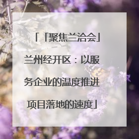 「聚焦兰洽会」兰州经开区：以服务企业的温度推进项目落地的速度