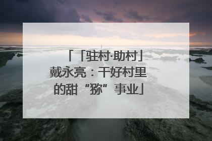 「驻村·助村」戴永亮：干好村里的甜“猕”事业