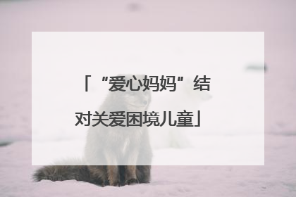 “爱心妈妈”结对关爱困境儿童