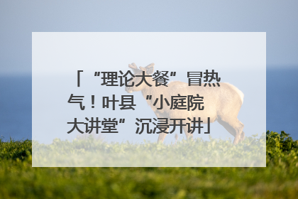 “理论大餐”冒热气！叶县“小庭院 大讲堂”沉浸开讲