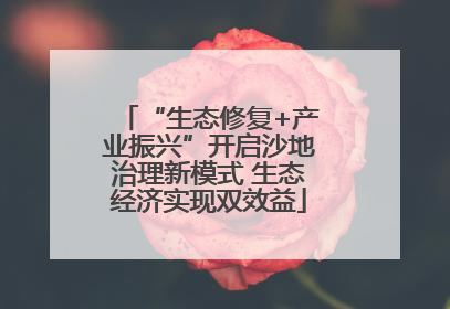 “生态修复+产业振兴”开启沙地治理新模式 生态经济实现双效益