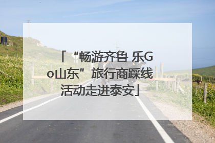 “畅游齐鲁 乐Go山东”旅行商踩线活动走进泰安