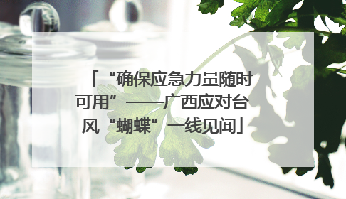 “确保应急力量随时可用”——广西应对台风“蝴蝶”一线见闻