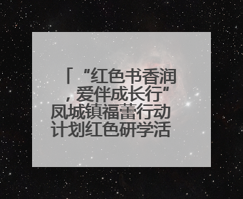 “红色书香润，爱伴成长行”凤城镇福蕾行动计划红色研学活动圆满结束