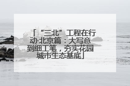 “三北”工程在行动·北京篇：大写意到细工笔，夯实花园城市生态基底