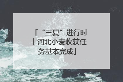 “三夏”进行时丨河北小麦收获任务基本完成