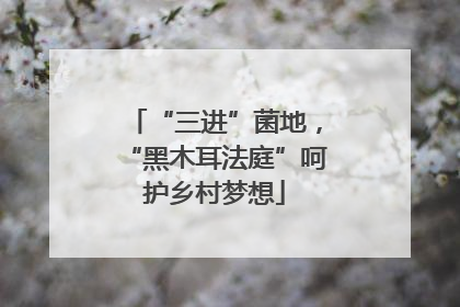 “三进”菌地，“黑木耳法庭”呵护乡村梦想