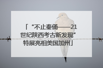 “不止秦俑——21世纪陕西考古新发现”特展亮相美国加州