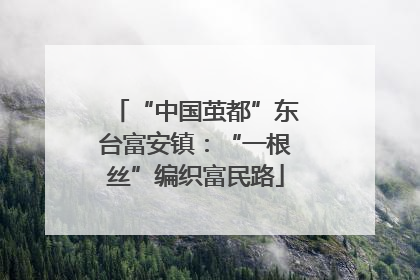 “中国茧都”东台富安镇：“一根丝”编织富民路