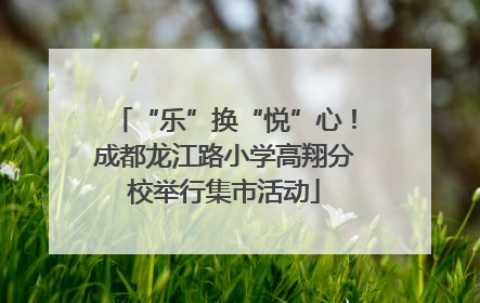 “乐”换“悦”心！成都龙江路小学高翔分校举行集市活动