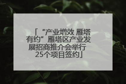 “产业增效 雁塔有约”雁塔区产业发展招商推介会举行 25个项目签约