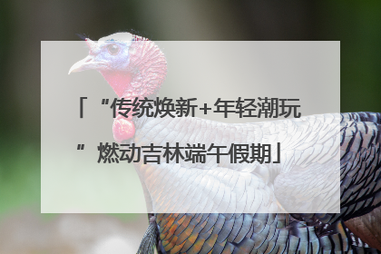 “传统焕新+年轻潮玩”燃动吉林端午假期