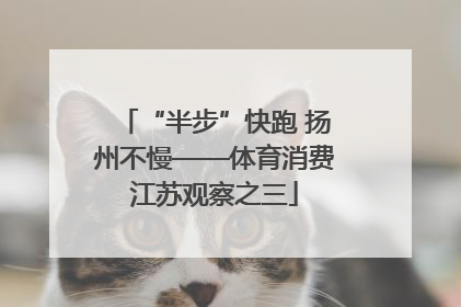 “半步”快跑 扬州不慢——体育消费江苏观察之三