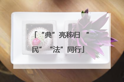 “典”亮秭归 “民”“法”同行