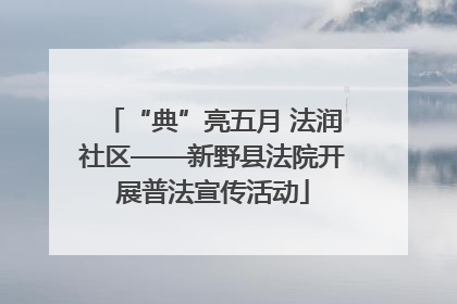 “典”亮五月 法润社区——新野县法院开展普法宣传活动