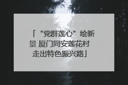 “党群莲心”绘新景 厦门同安莲花村走出特色振兴路