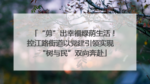 “剪”出幸福绿荫生活！控江路街道以党建引领实现“树与民”双向奔赴