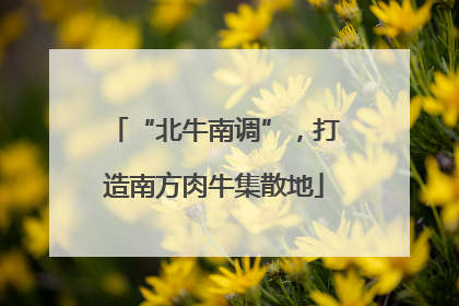 “北牛南调”，打造南方肉牛集散地