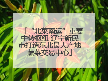 “北菜南运”重要中转枢纽 辽宁新民市打造东北最大产地蔬菜交易中心