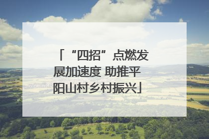 “四招”点燃发展加速度 助推平阳山村乡村振兴