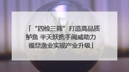 “四检三筛”打造高品质鲈鱼 半天妖携手闽威助力福鼎渔业实现产业升级