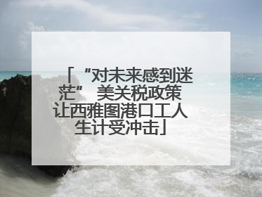 “对未来感到迷茫” 美关税政策让西雅图港口工人生计受冲击