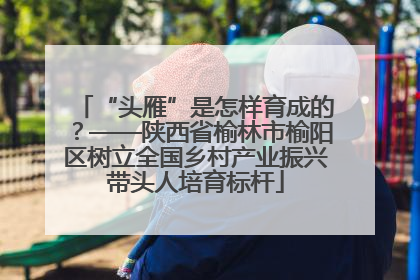 “头雁”是怎样育成的？——陕西省榆林市榆阳区树立全国乡村产业振兴带头人培育标杆