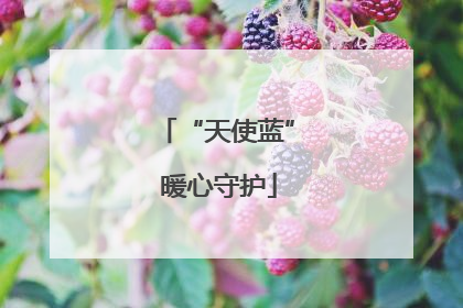 “天使蓝” 暖心守护