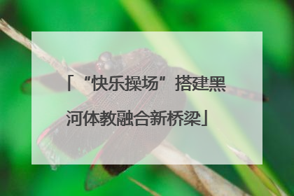 “快乐操场”搭建黑河体教融合新桥梁