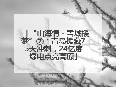 “山海情・雪域援梦”⑦：青岛援藏75天冲刺，24亿度绿电点亮高原