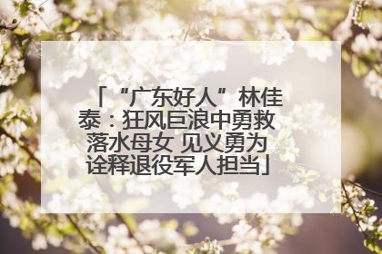 “广东好人”林佳泰：狂风巨浪中勇救落水母女 见义勇为诠释退役军人担当