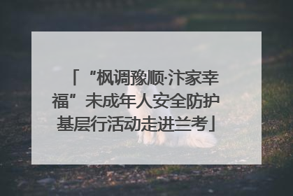 “枫调豫顺·汴家幸福”未成年人安全防护基层行活动走进兰考