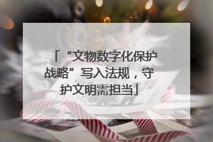 “文物数字化保护战略”写入法规，守护文明需担当