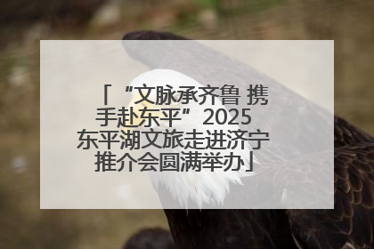 “文脉承齐鲁 携手赴东平”2025东平湖文旅走进济宁推介会圆满举办