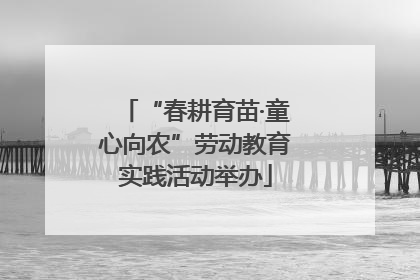 “春耕育苗·童心向农”劳动教育实践活动举办