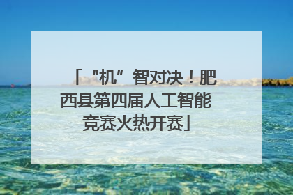 “机”智对决！肥西县第四届人工智能竞赛火热开赛