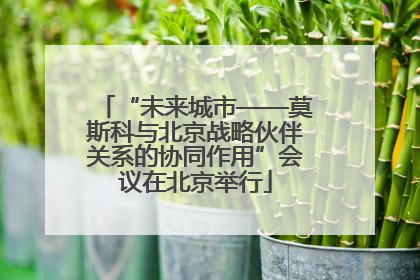“未来城市——莫斯科与北京战略伙伴关系的协同作用”会议在北京举行