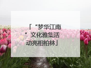 “梦华江南”文化雅集活动亮相柏林