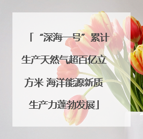 “深海一号”累计生产天然气超百亿立方米 海洋能源新质生产力蓬勃发展