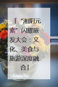 “湘阴元素”闪耀旅发大会：文化、美食与旅游深度融合