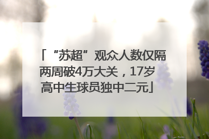 “苏超”观众人数仅隔两周破4万大关，17岁高中生球员独中二元
