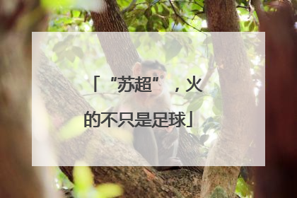 “苏超”，火的不只是足球