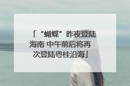 “蝴蝶”昨夜登陆海南 中午前后将再次登陆粤桂沿海